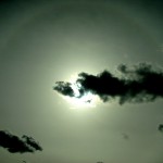 Halo-1