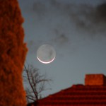 Pepel Moon - Kanberra