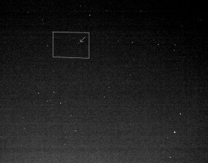 IMG_0335-1 copy