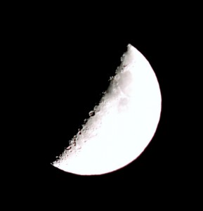 DSCN1340