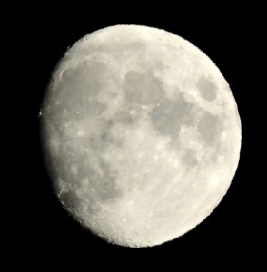 DSCN1875