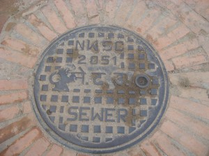 IMG_6487