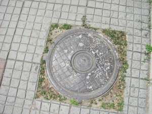 IMG_1940