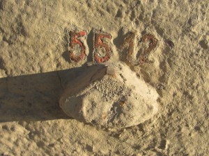 sm bulv-22-2