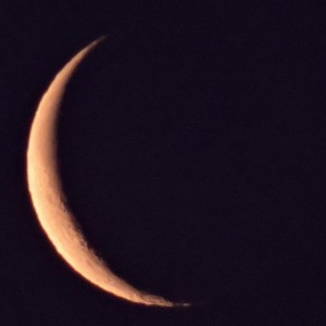 DSCN4183