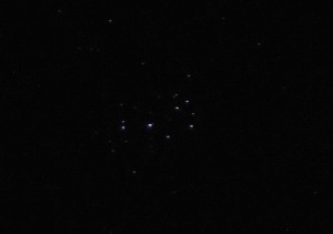 DSCN4595