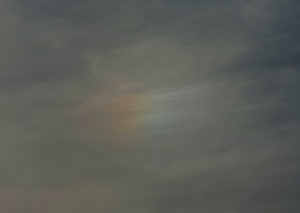 DSCN5158