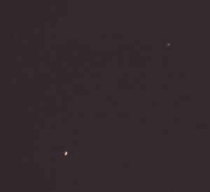 DSCN8597