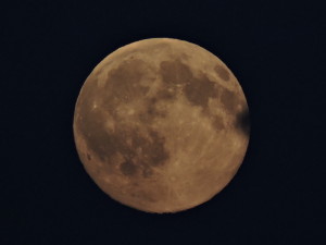 DSCN8607
