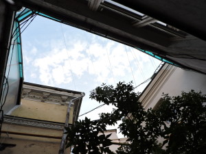DSCN9177