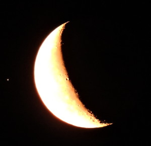 DSCN9798