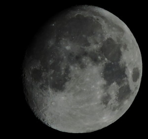 DSCN0897