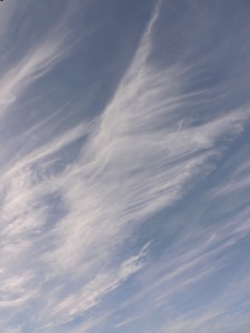 DSCN1216
